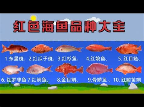 紅色魚種類